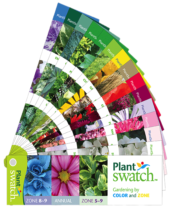 Showing The Plant Colors