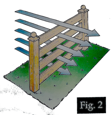 Fig2