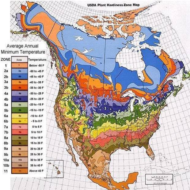 North-America-USDA-Plant-Hardiness-Zone-Map-perennials-dot-com